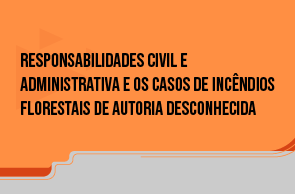 Imagem meramente ilustrativa, de forma quadricular, com fundo laranja e rodapé cinza. No centro, está o título do evento. Fim da descrição.